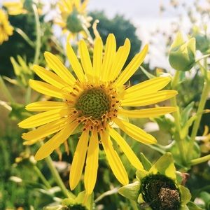 Meet your Posher, Janet